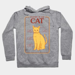 Anatomy of the Cat Hoodie